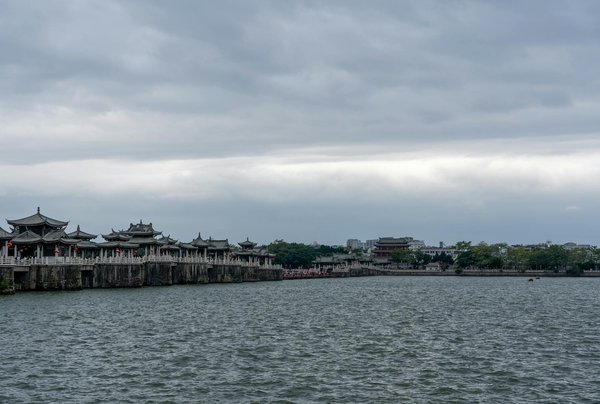 Comprendre les allergies animales : origines et manifestations surprenantes