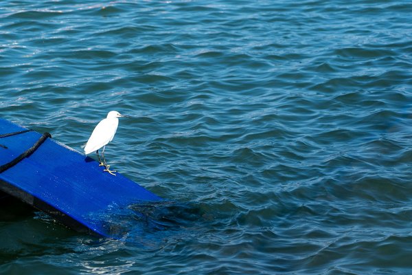 Les pouvoirs cachés des épices pour brûler les graisses