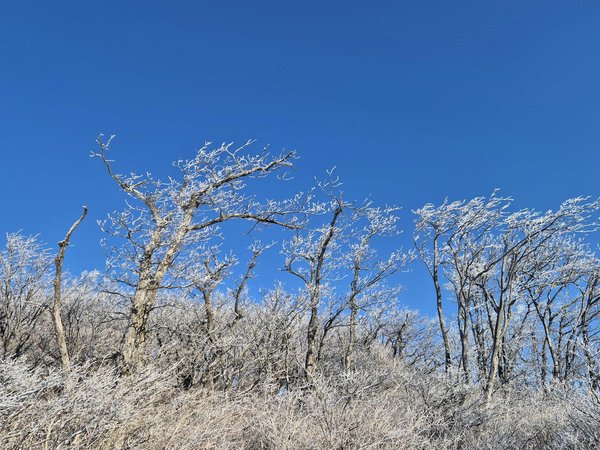 Renforcez Vos Défenses Immunitaires : Solutions Créatives pour Optimiser Votre Consommation de Zinc